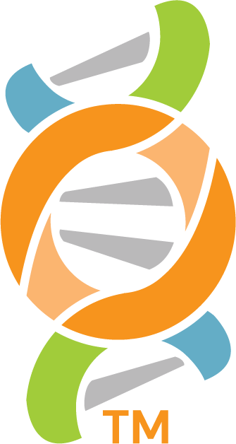 ONTOLOGY
